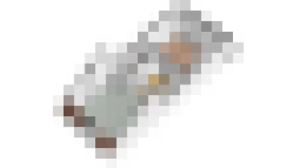Maliebaan 73 D Utrecht thumbnail 37