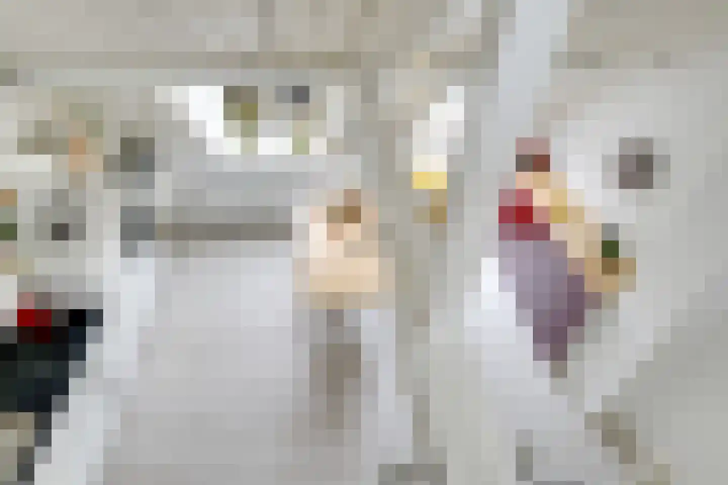 Maliebaan 73 D Utrecht thumbnail 5