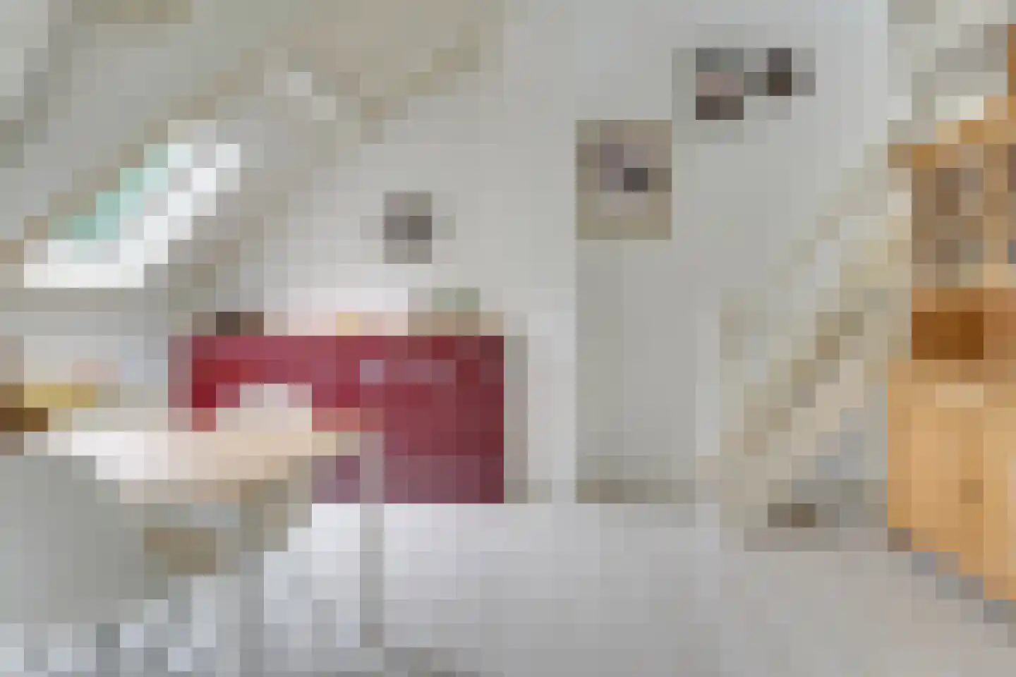 Maliebaan 73 D Utrecht thumbnail 8