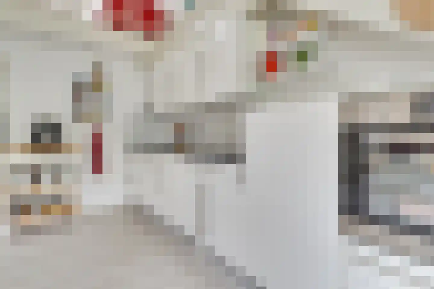 Maliebaan 73 D Utrecht thumbnail 9