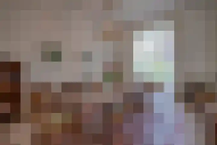 Maliebaan 90 Utrecht thumbnail 13