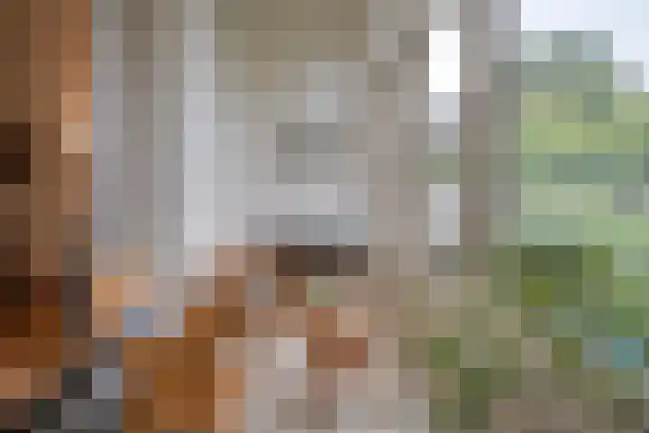 Maliebaan 90 Utrecht thumbnail 18