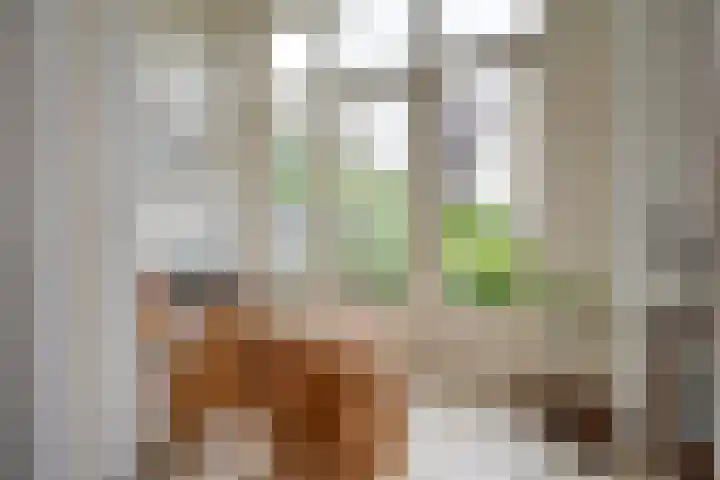 Maliebaan 90 Utrecht thumbnail 19