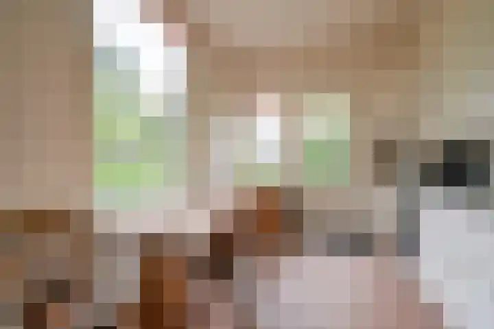 Maliebaan 90 Utrecht thumbnail 20