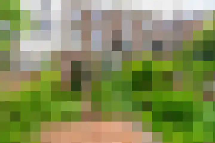 Maliebaan 90 Utrecht thumbnail 22