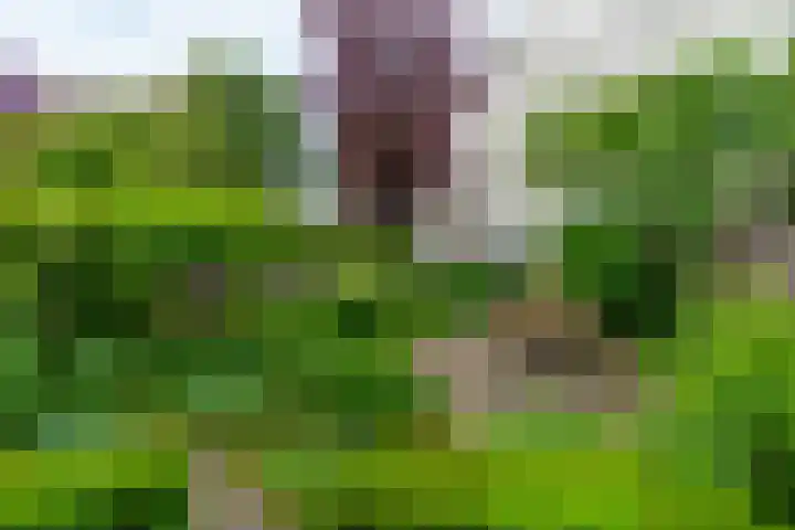 Maliebaan 90 Utrecht thumbnail 23