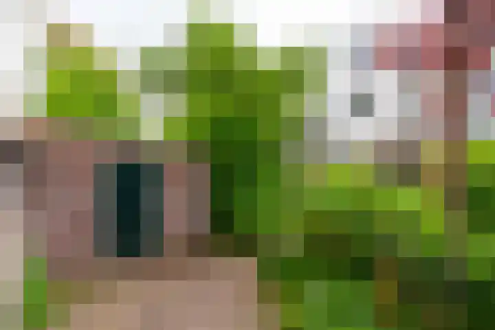 Maliebaan 90 Utrecht thumbnail 25