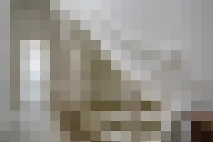 Maliebaan 90 Utrecht thumbnail 29