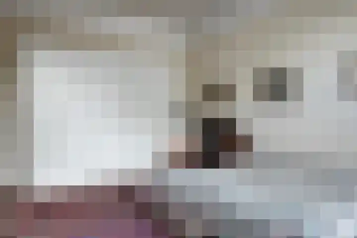 Maliebaan 90 Utrecht thumbnail 30