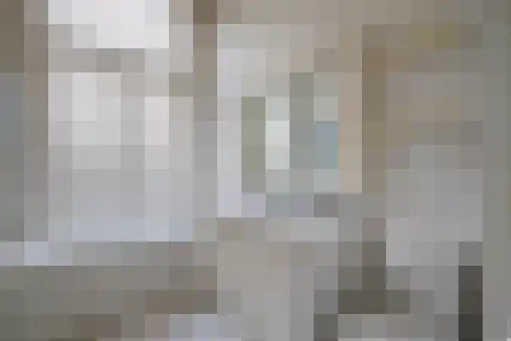 Maliebaan 90 Utrecht thumbnail 32