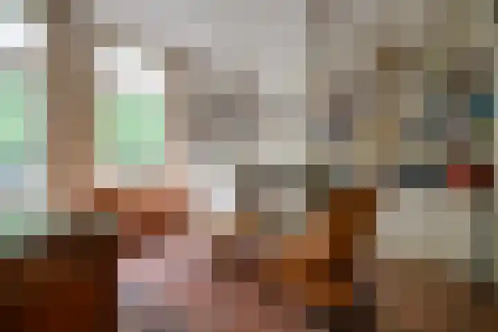 Maliebaan 90 Utrecht thumbnail 33