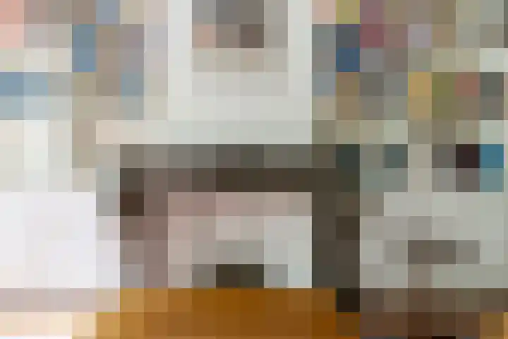Maliebaan 90 Utrecht thumbnail 34