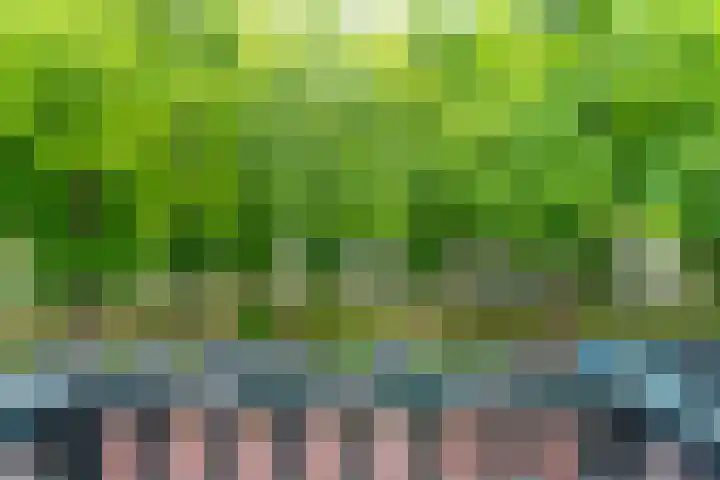 Maliebaan 90 Utrecht thumbnail 37