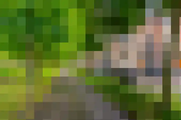 Maliebaan 90 Utrecht thumbnail 5