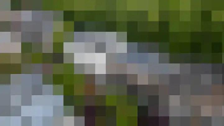 Maliebaan 90 Utrecht thumbnail 50