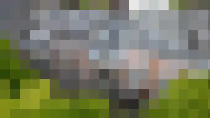 Maliebaan 90 Utrecht thumbnail 51