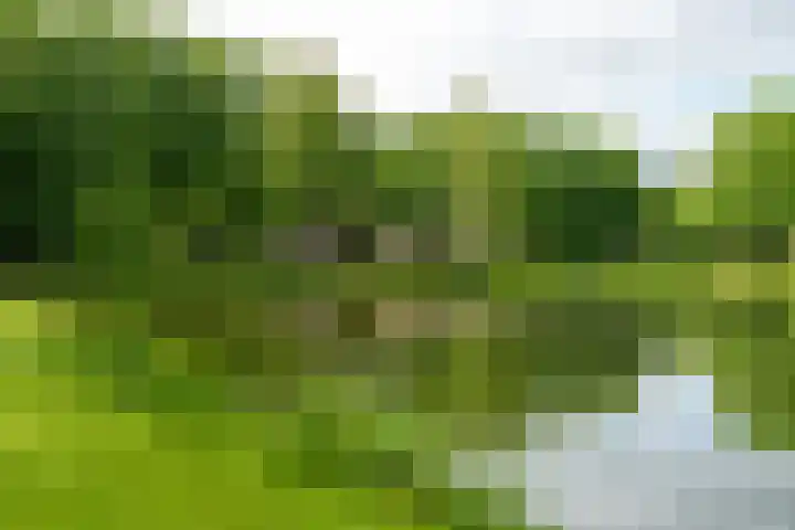 Maliebaan 90 Utrecht thumbnail 54