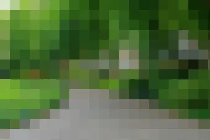 Maliebaan 90 Utrecht thumbnail 55