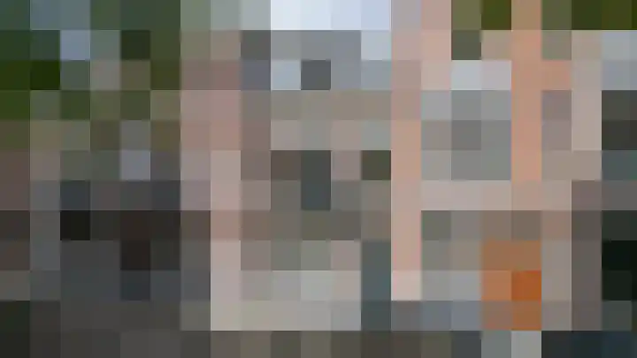 Maliebaan 90 Utrecht thumbnail 6