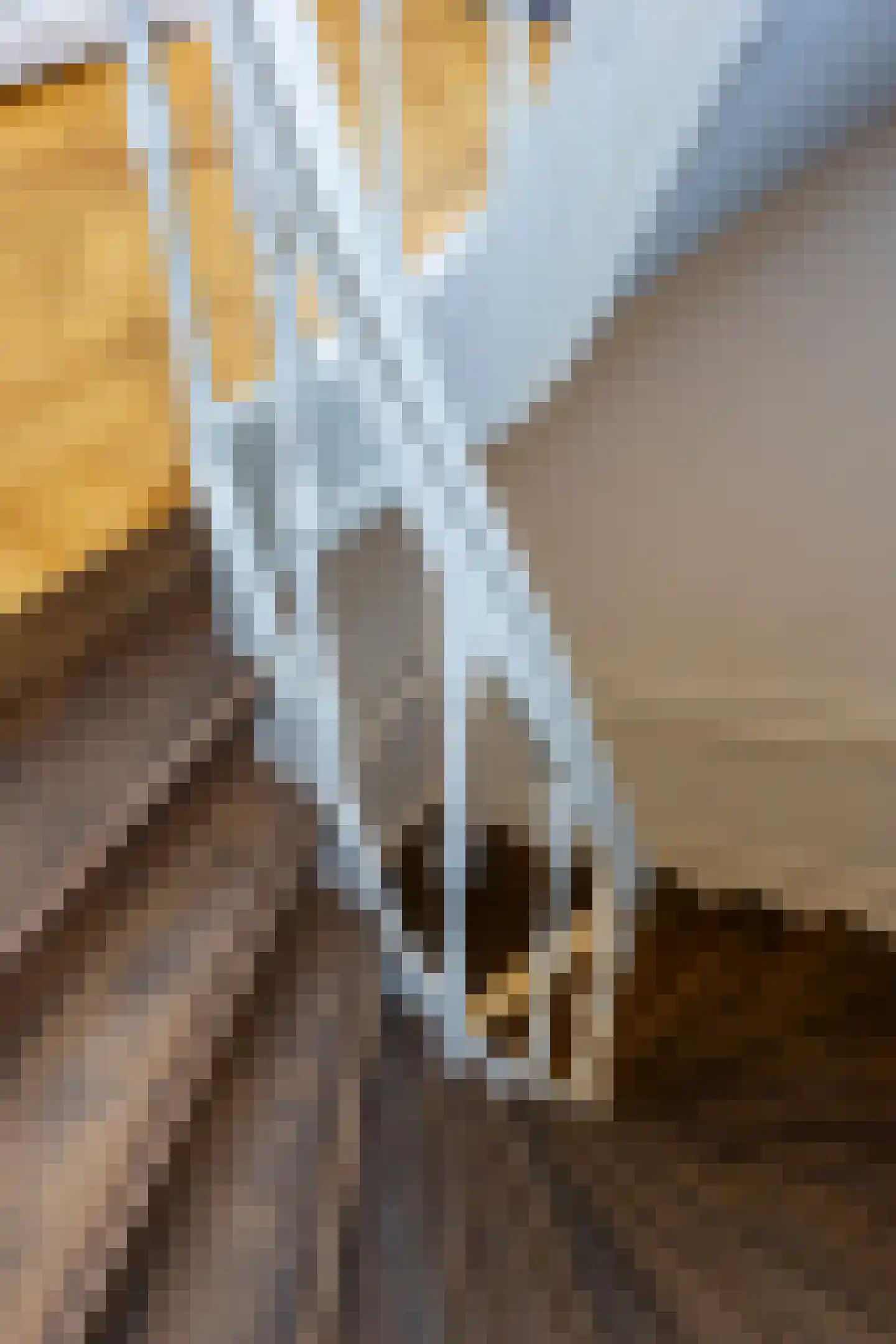 Maliesingel 101 Utrecht thumbnail 10