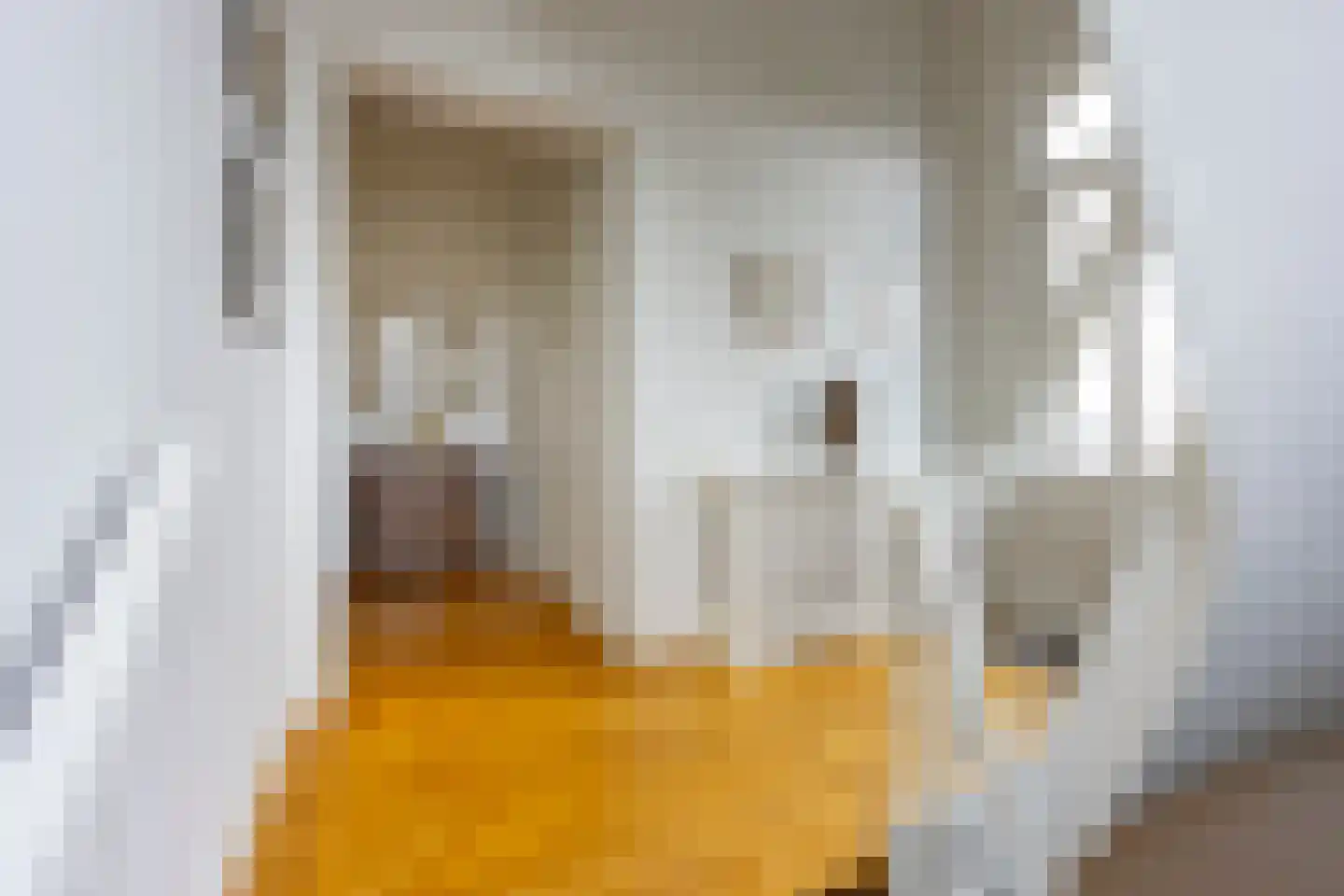 Maliesingel 101 Utrecht thumbnail 11