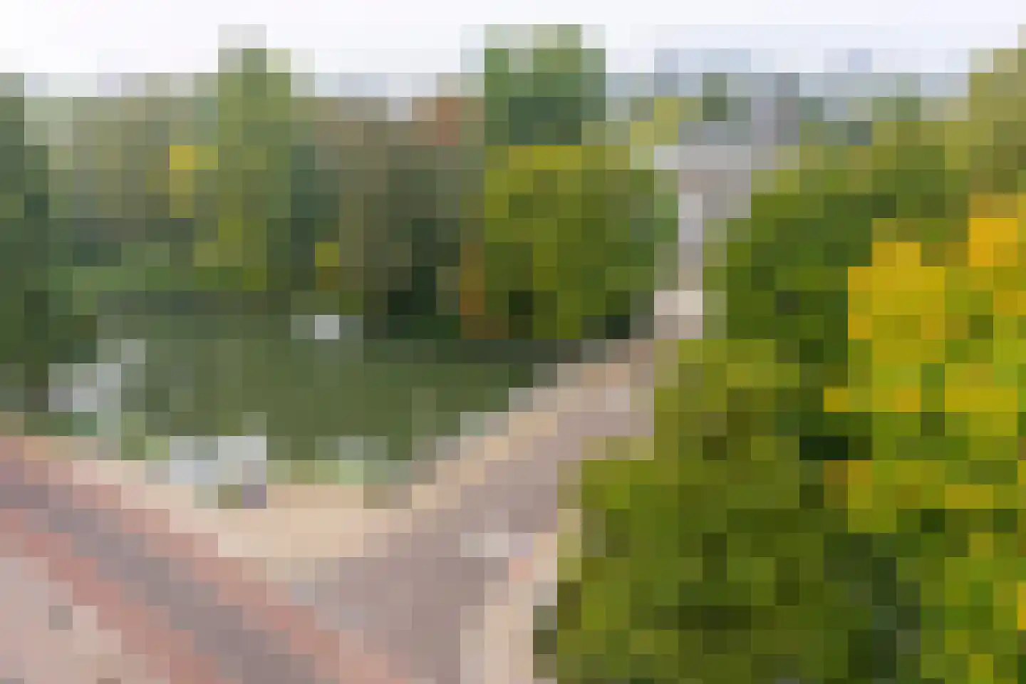 Maliesingel 101 Utrecht thumbnail 15