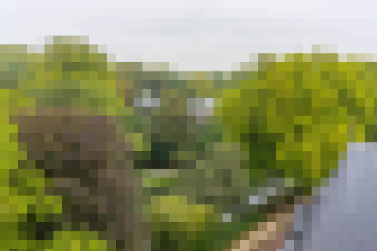 Maliesingel 101 Utrecht thumbnail 16