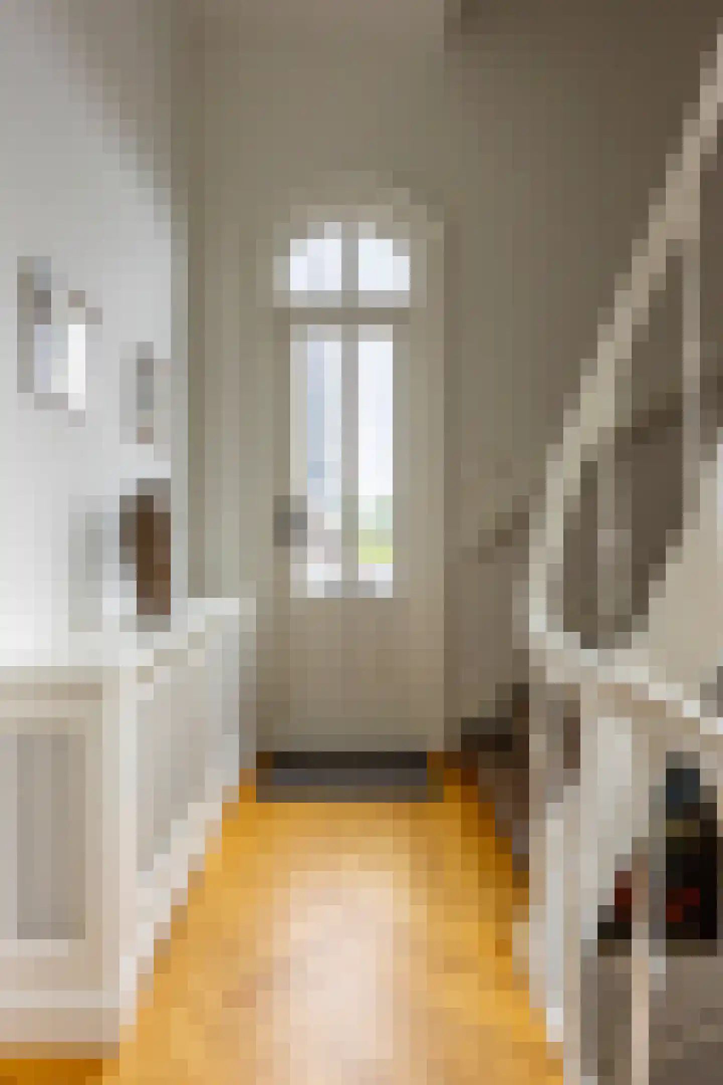Maliesingel 101 Utrecht thumbnail 21