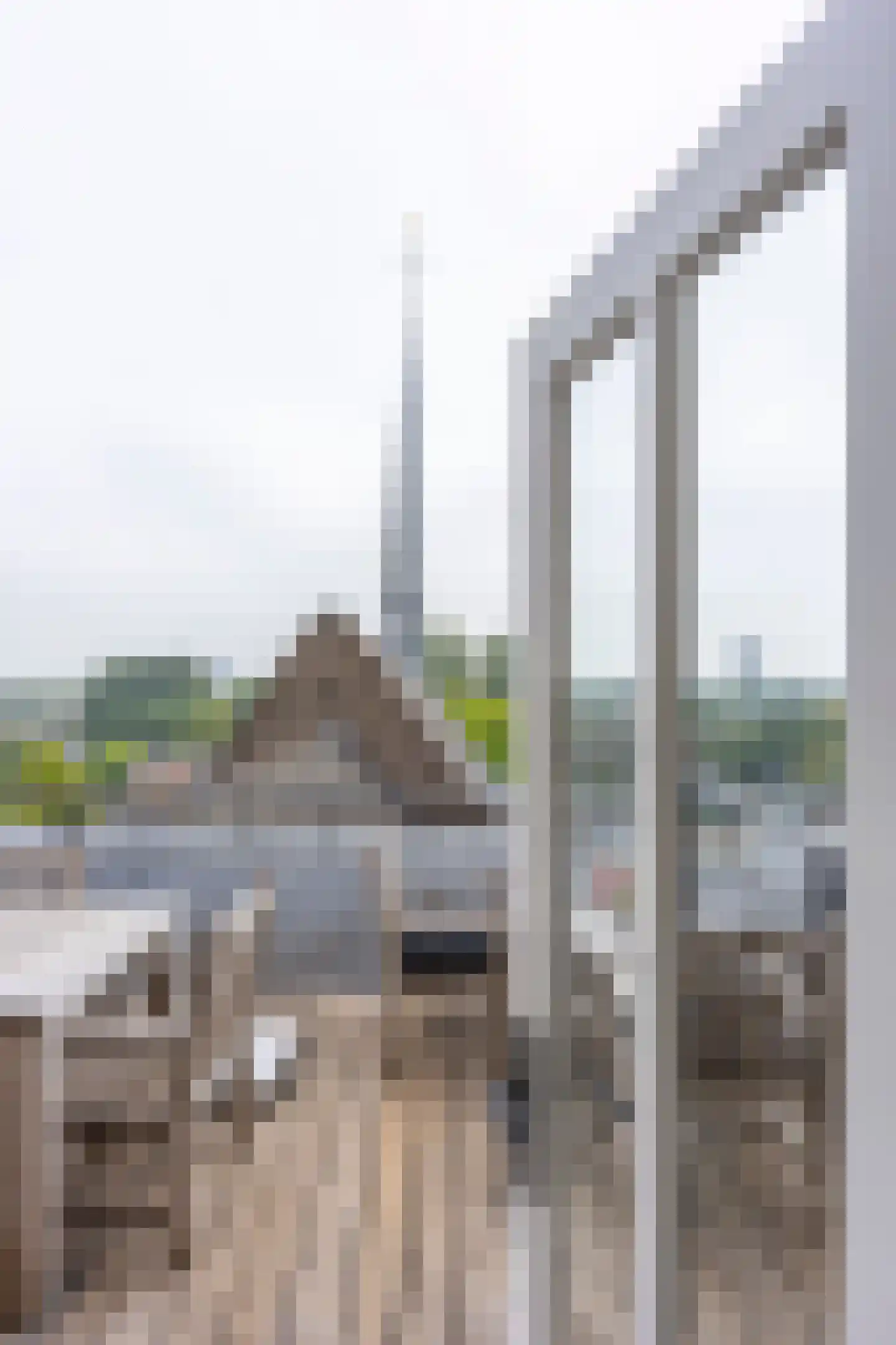 Maliesingel 101 Utrecht thumbnail 22