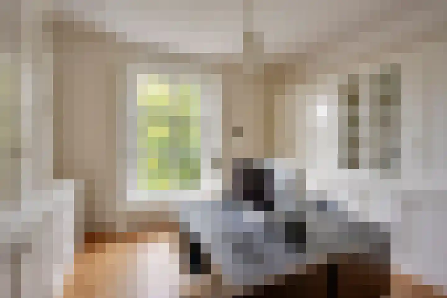 Maliesingel 101 Utrecht thumbnail 33