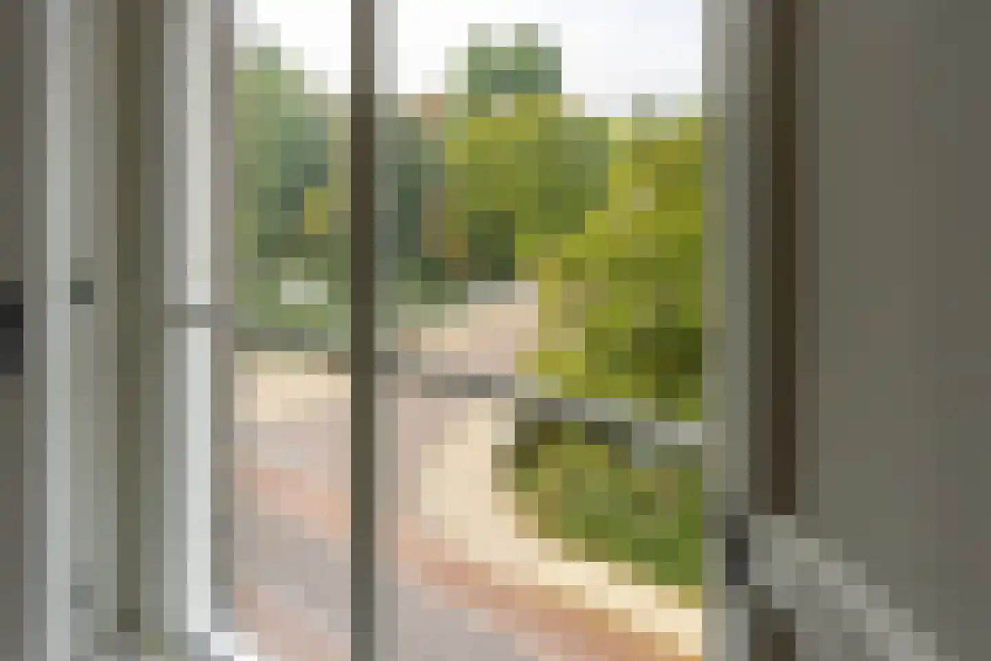 Maliesingel 101 Utrecht thumbnail 34
