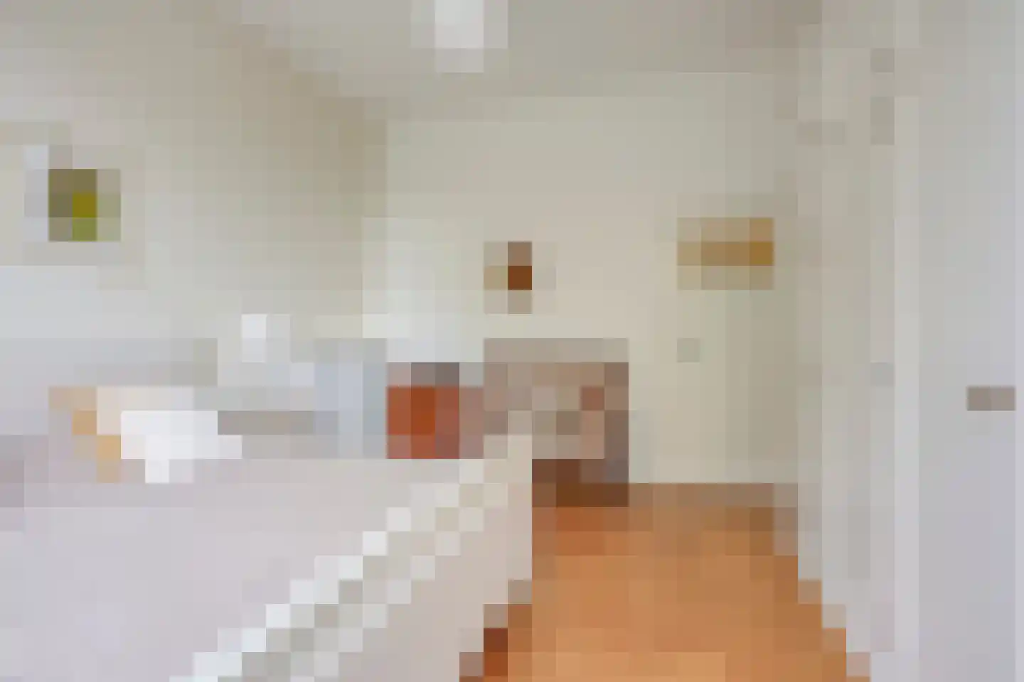 Maliesingel 101 Utrecht thumbnail 38