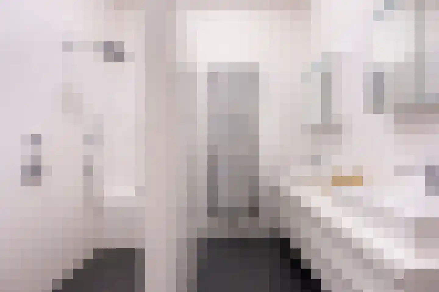 Maliesingel 101 Utrecht thumbnail 39