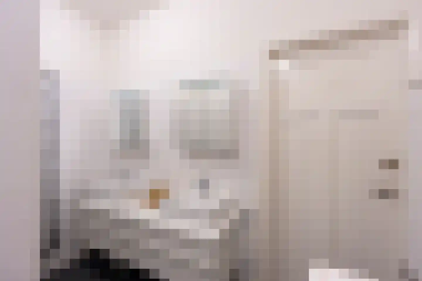 Maliesingel 101 Utrecht thumbnail 40