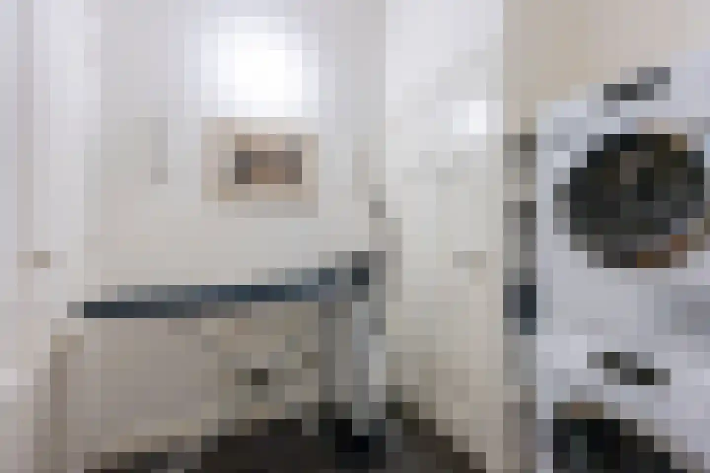 Maliesingel 101 Utrecht thumbnail 42