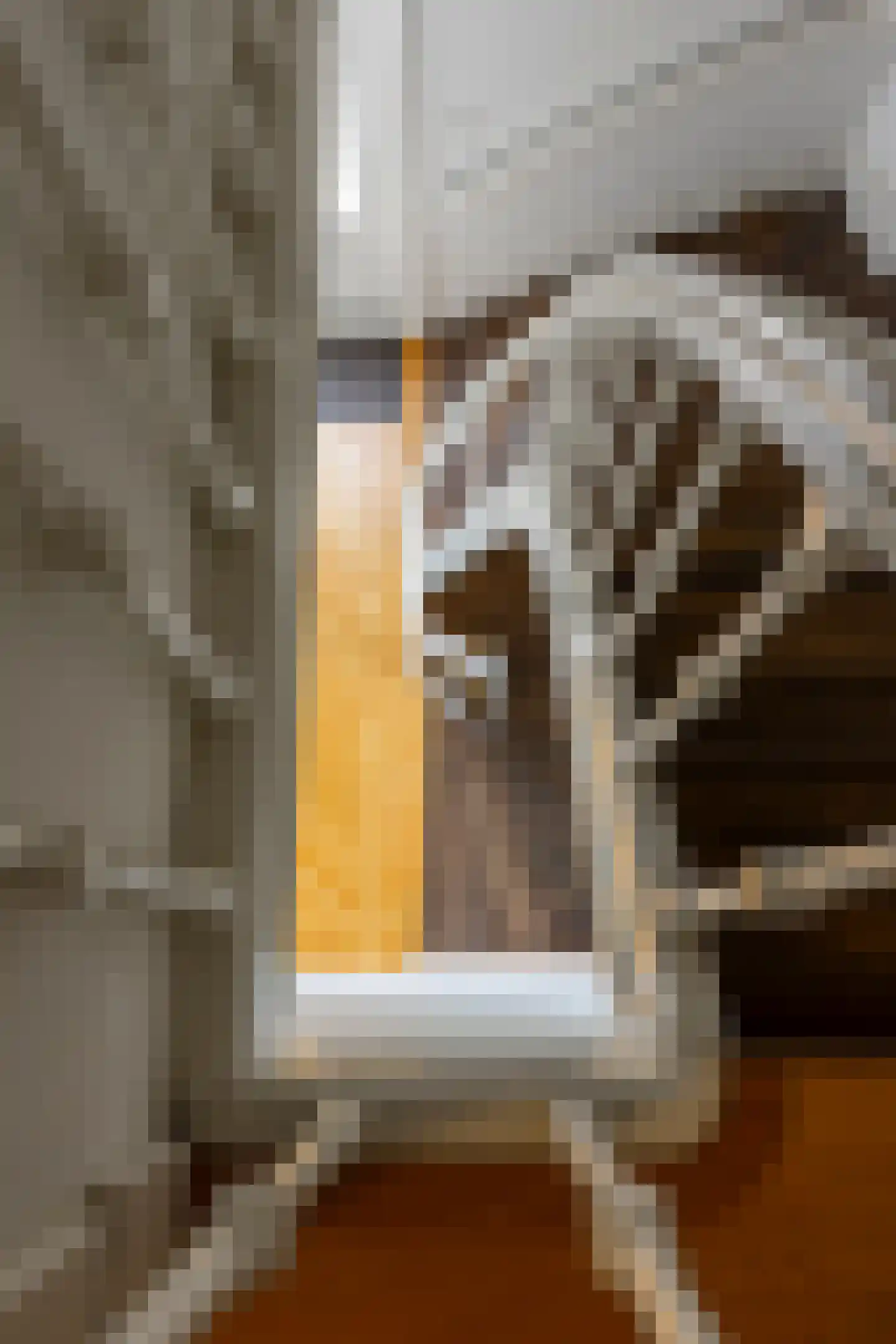 Maliesingel 101 Utrecht thumbnail 44