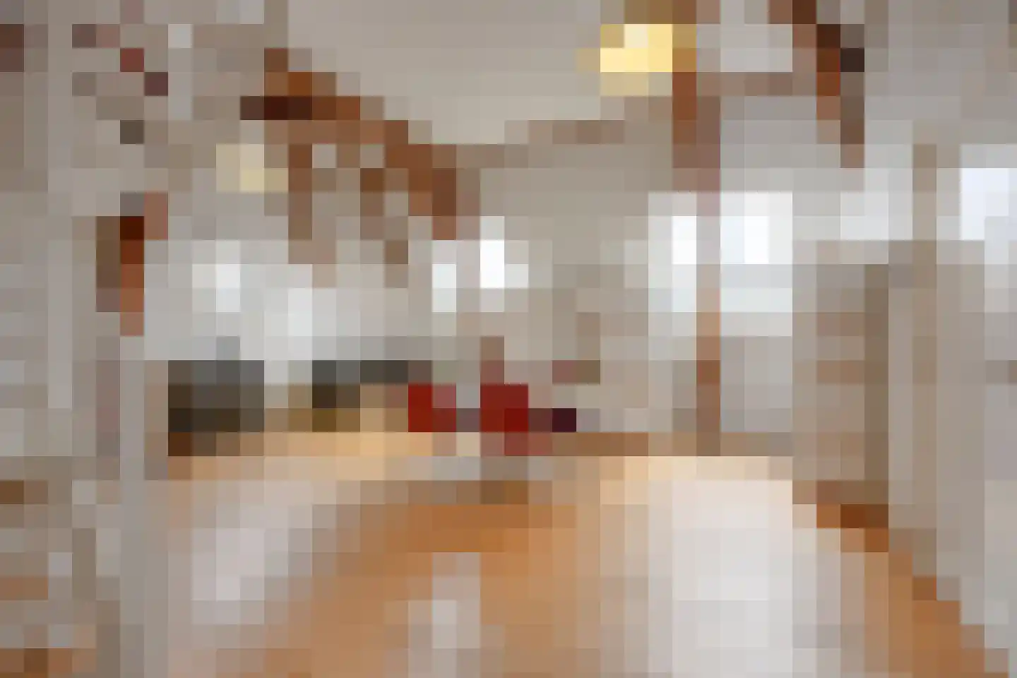 Maliesingel 101 Utrecht thumbnail 45