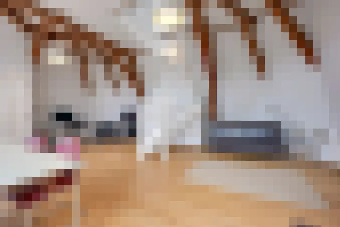 Maliesingel 101 Utrecht thumbnail 47