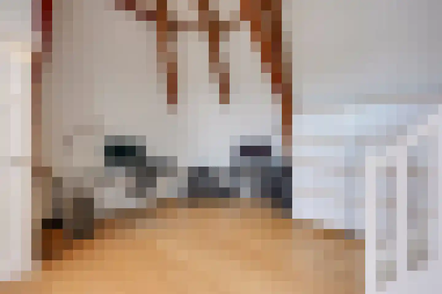 Maliesingel 101 Utrecht thumbnail 48