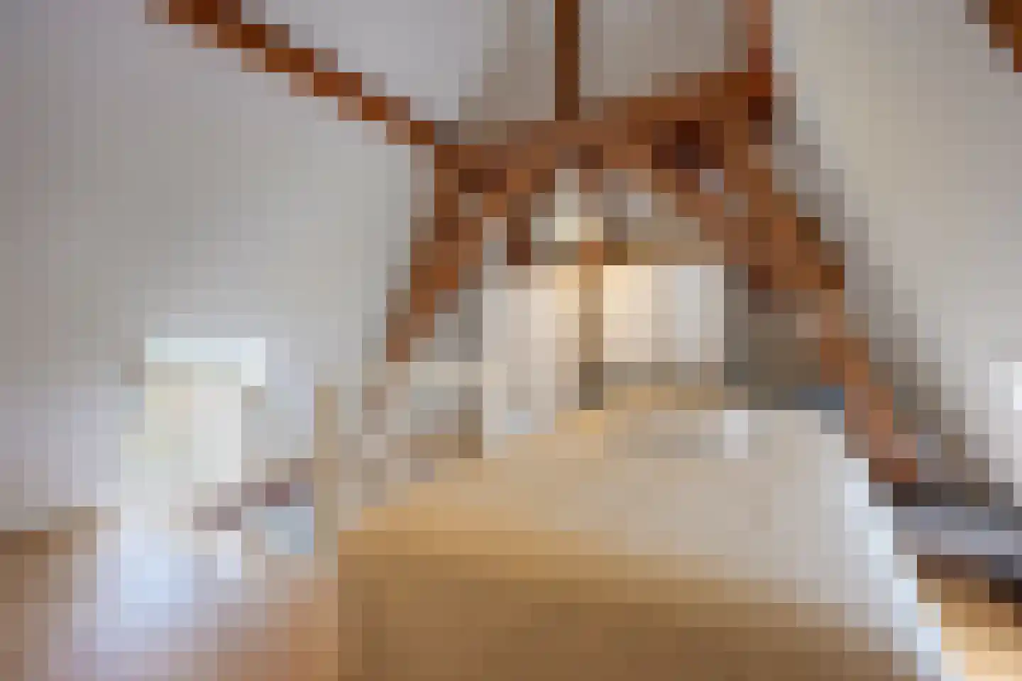 Maliesingel 101 Utrecht thumbnail 50