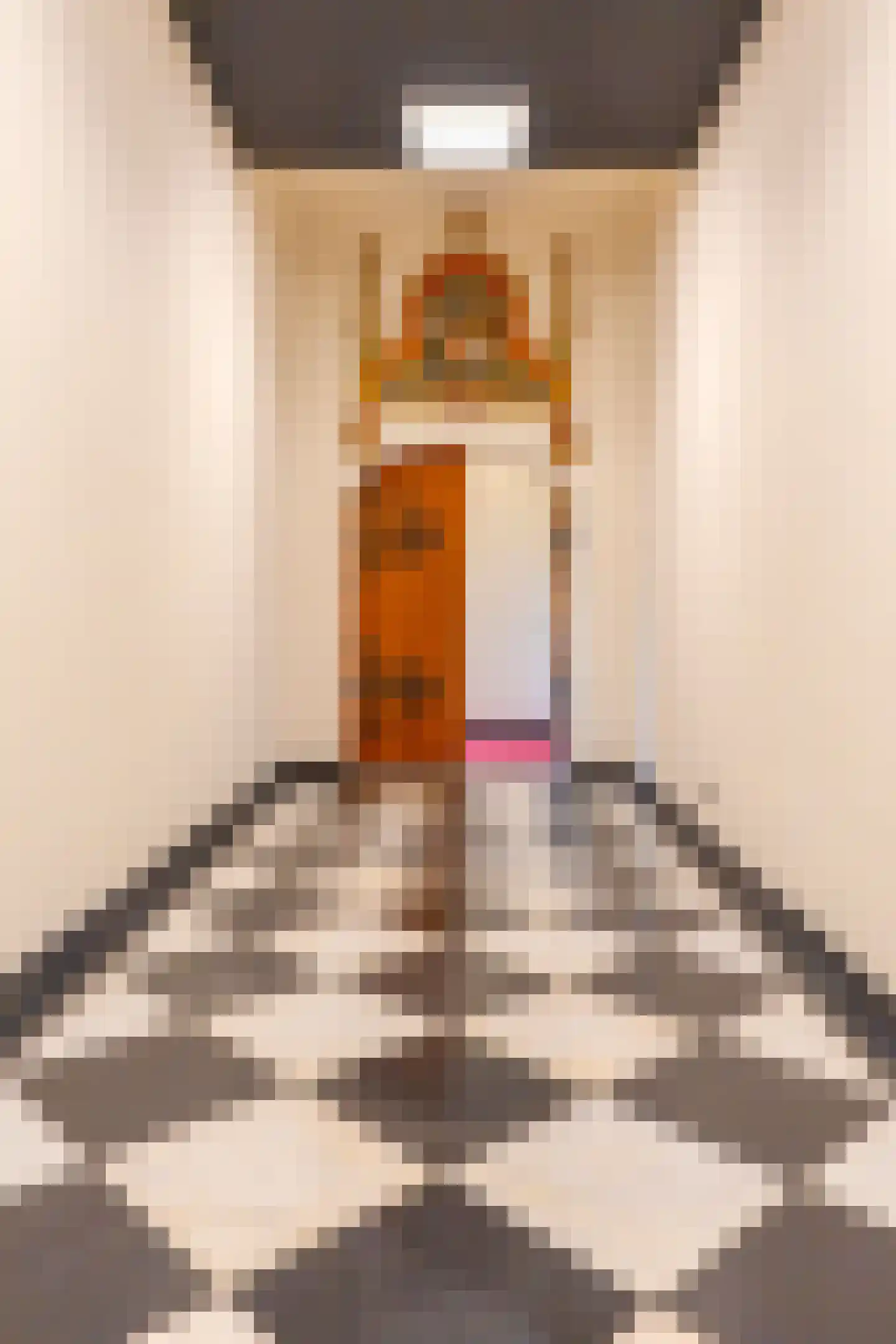 Maliesingel 101 Utrecht thumbnail 6
