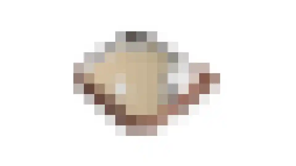 Maliesingel 101 Utrecht thumbnail 67