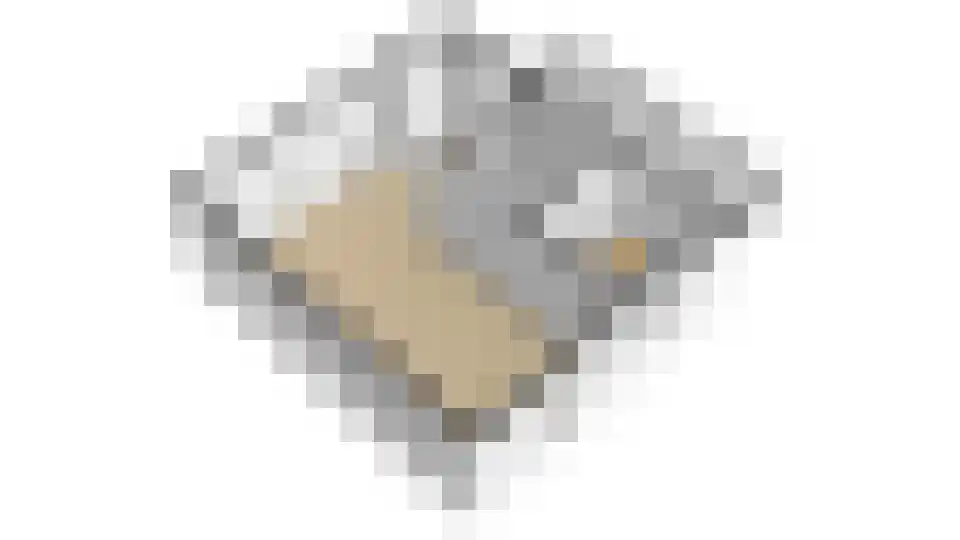 Maliesingel 101 Utrecht thumbnail 69