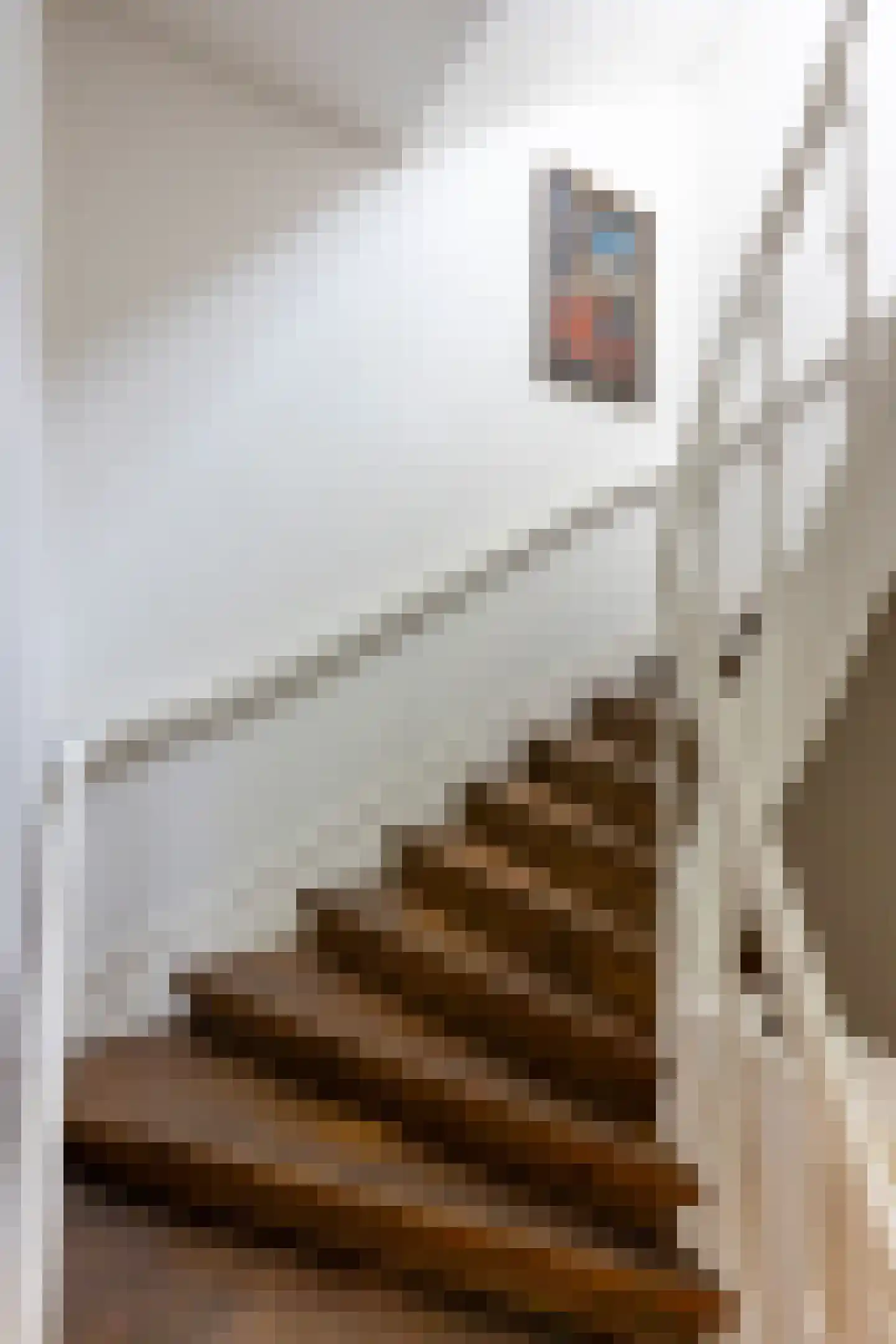 Maliesingel 101 Utrecht thumbnail 9