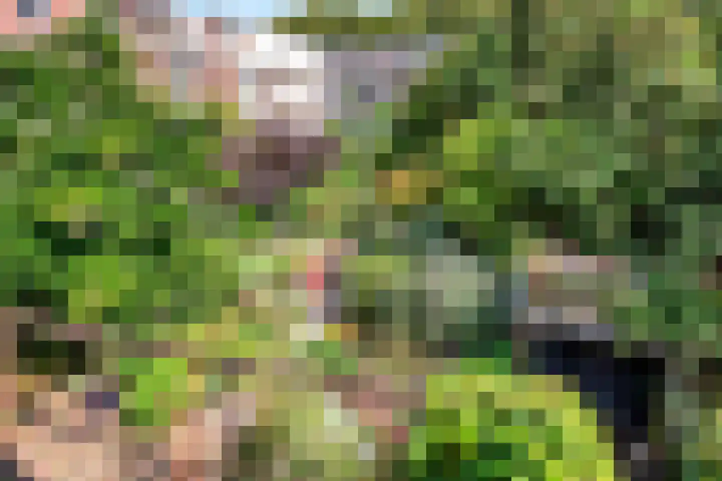 Maliesingel 46 BS Utrecht thumbnail 23
