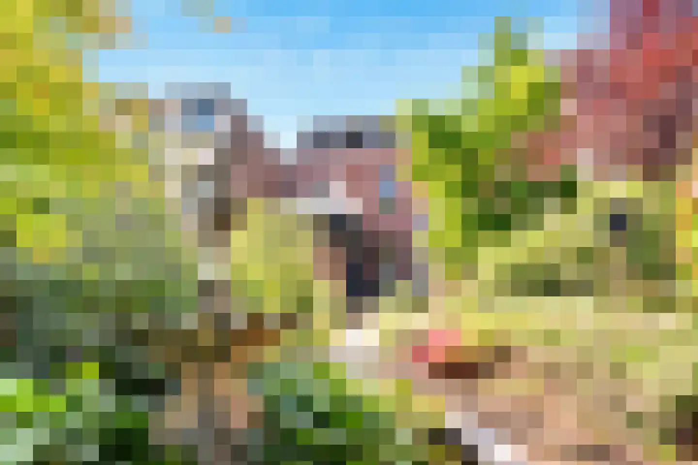 Maliesingel 46 BS Utrecht thumbnail 25