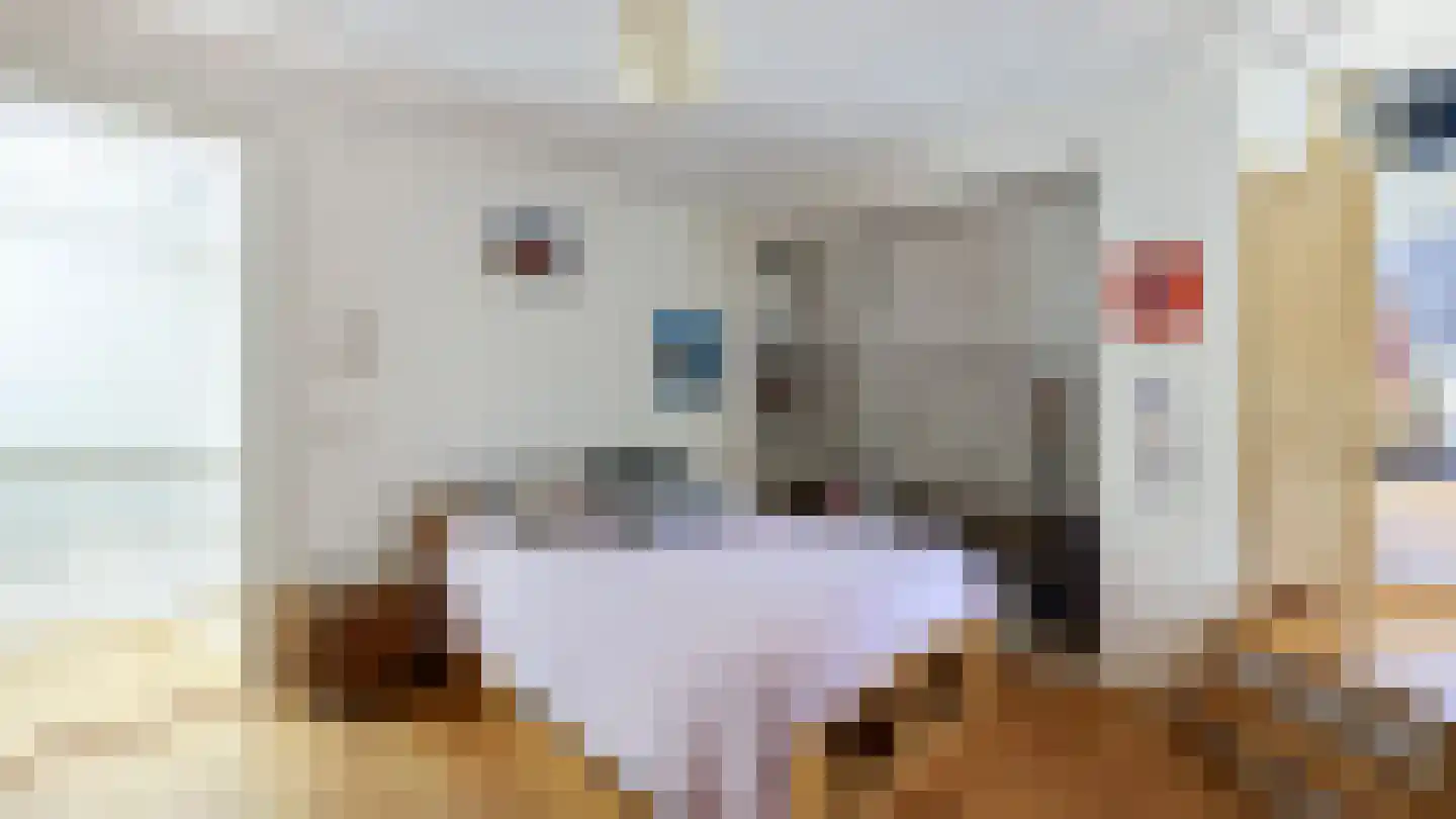 Maliesingel 46 BS Utrecht thumbnail 40