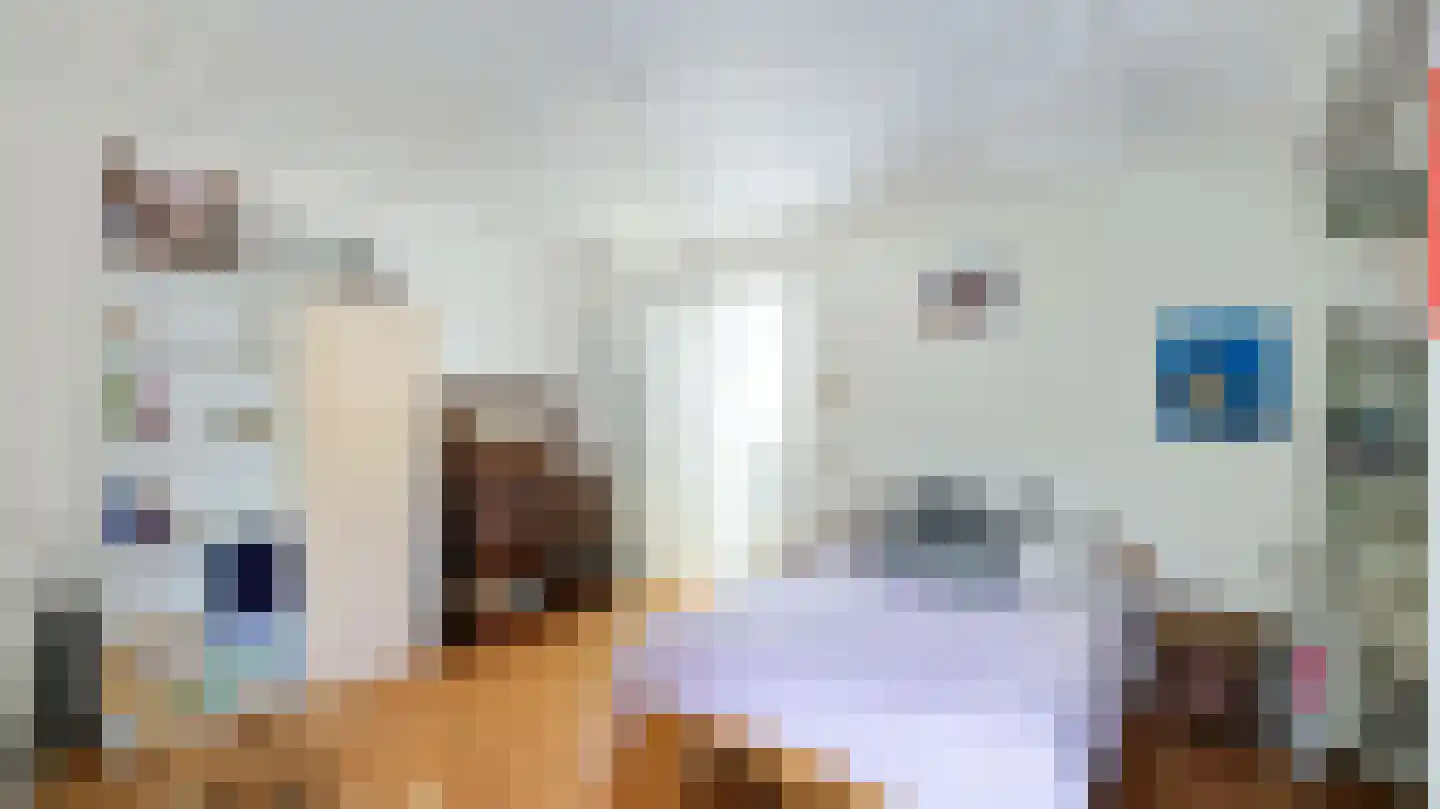 Maliesingel 46 BS Utrecht thumbnail 42