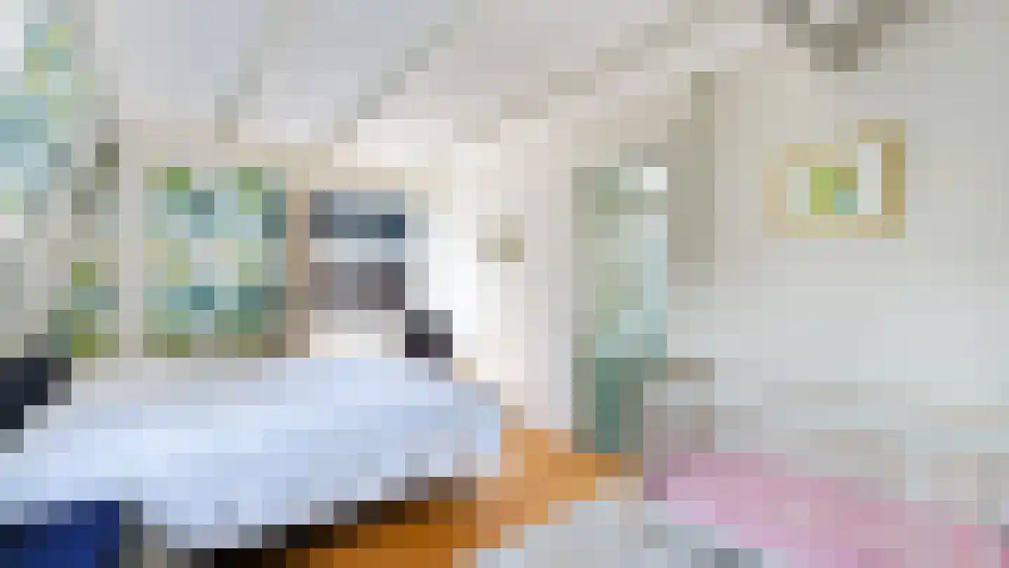 Maliesingel 46 BS Utrecht thumbnail 49