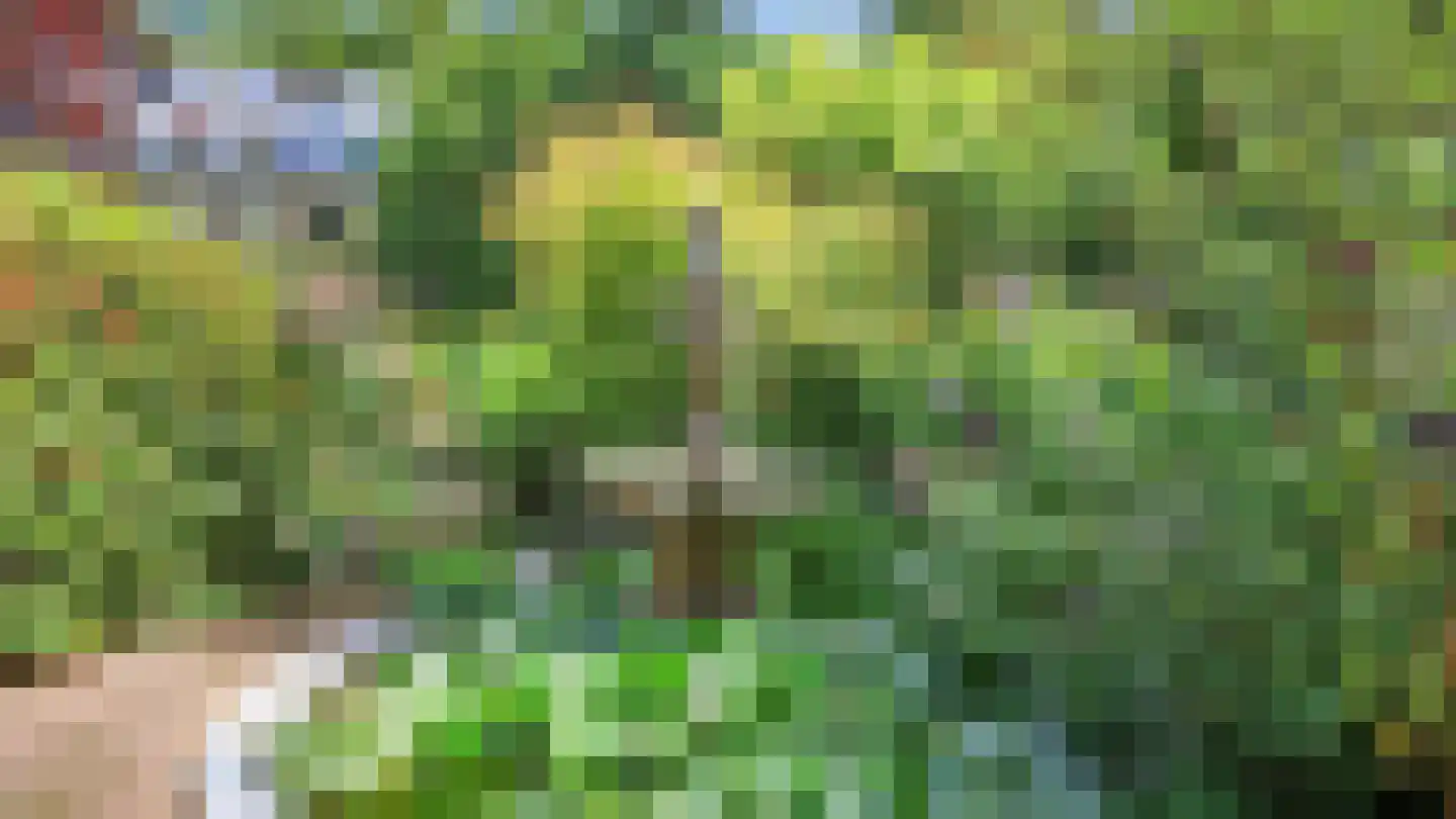 Maliesingel 46 BS Utrecht thumbnail 62